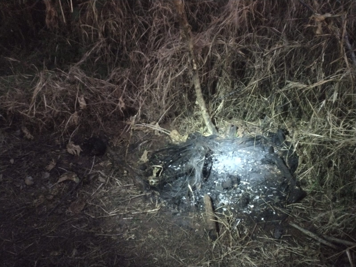 Corpo carbonizado é encontrado em Araçatuba