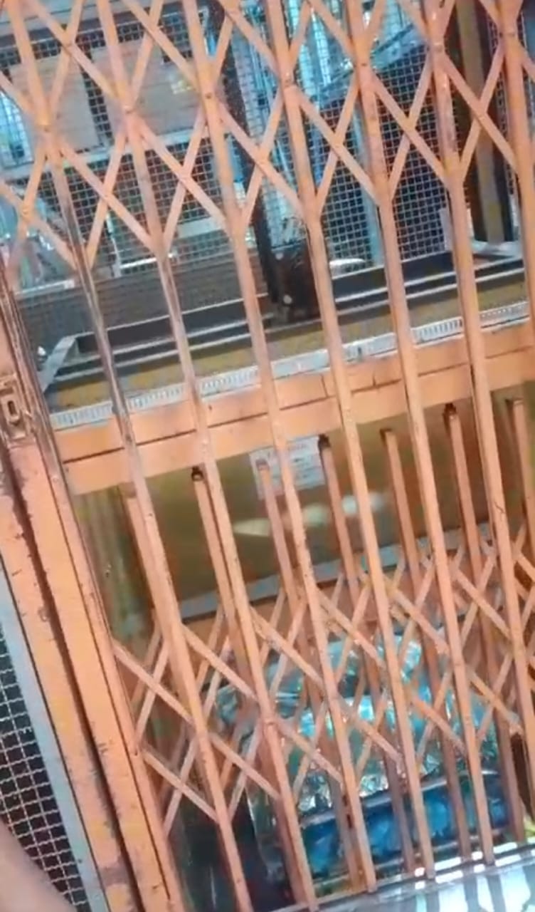 Promotor de vendas fica gravemente ferido após elevador de supermercado cair